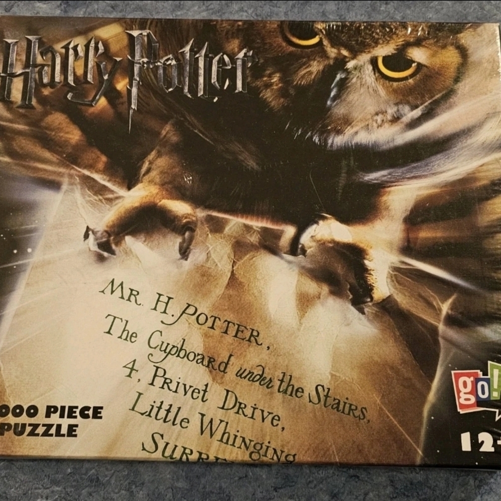 Harry Potter Hedwigs Flight 1000 Piece Puzzle Go! Games